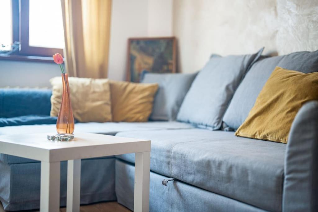 Central Apartment 2Bd Next To Vitosha Bul. ソフィア エクステリア 写真